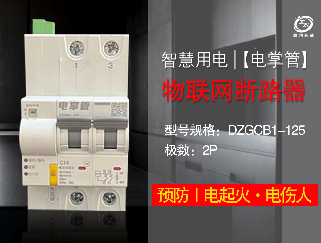 物聯網斷路器（2P）